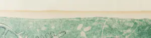 Harry van Kruiningen - Litho, Daphne veranderd in een laurierboom kopen? Bied vanaf 1!