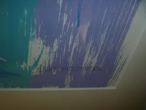 Anke Peddemors - afgeprijsd :gesigneerde zeefdruk , nr 2/75 , fraai ingelijst in zeer goede staat kopen? Bied vanaf 29!