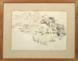 Bernard Koelman - Pen, De rand van het plateau van Hande kopen? Bied vanaf 1!