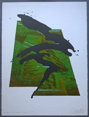 Busse Weidema - gesigneerde litho - Captive Notious kopen? Bied vanaf 55!