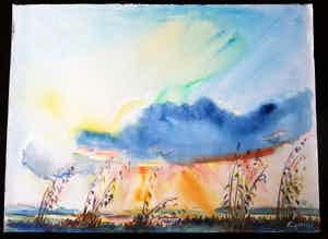 Freek van den Berg - Veessen sold for € 120!