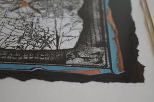 Wil Rovers - zonder titel kopen? Bied vanaf 40!