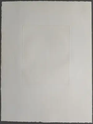 Ronald Tolman - gesigneerde ets kopen? Bied vanaf 69!