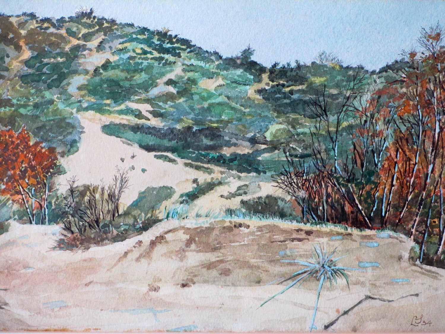 Lodewijk Schelfhout - Zomers duingezicht - Gemengde techniek verkocht voor € 130!