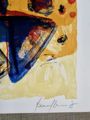 Theo Kuijpers - Litho kopen? Bied vanaf 10!