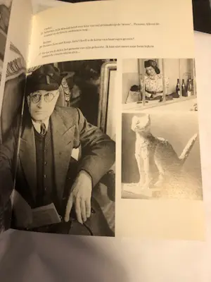 Brassaï - gesprekken met Picasso kopen? Bied vanaf 25!