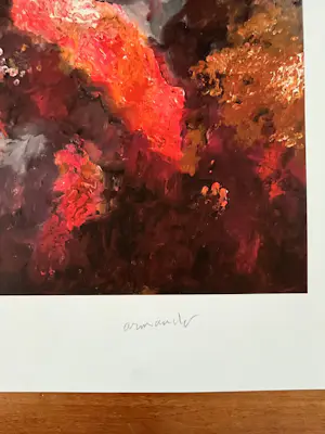 Armando - Exclusieve kleurengiclée - gesigneerd en genummerd 22/30 kopen? Bied vanaf 135!