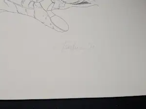 Luc Piron - liggend naakt - lage oplage! kopen? Bied vanaf 39!