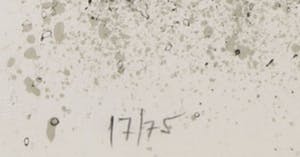 Joan Miro - Litho, Unesco - Ingelijst (Groot) kopen? Bied vanaf 2950!