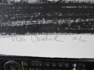 Nico Vrielink - genummerde en gesigneerde zeefdruk 36/100 kopen? Bied vanaf 20!