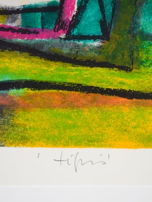 Geert Vrijdag - Tygris kopen? Bied vanaf 50!