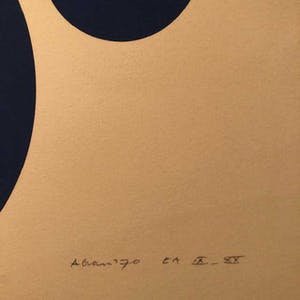 Ronald Abram - Infinitesinale constantes kopen? Bied vanaf 1!