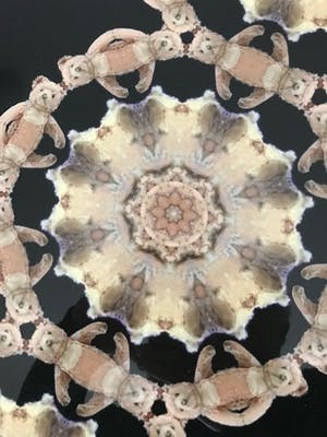 Lia Harkes - Teddybears kopen? Bied vanaf 250!