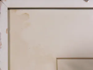 Leo Jinssen - Pentekening, De worteloorlog - Ingelijst kopen? Bied vanaf 1!