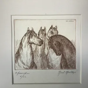 Noël Matthijs - 4 paarden kopen? Bied vanaf 1!