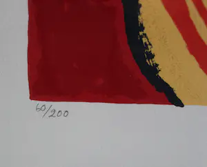 Corneille - zeer grote kleurenzeefdruk: Vol D'oiseaux - 1998 (nette lijst!) kopen? Bied vanaf 1250!