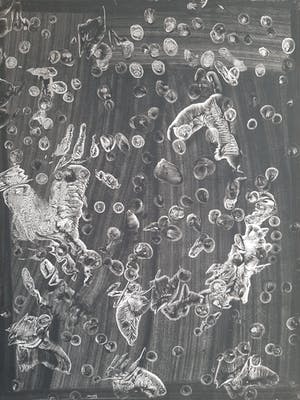 Anton Lutgerink - Dartel 1967 kopen? Bied vanaf 75!