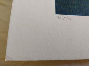 Ilona Schmit - Altijd Nieuwsgierig kopen? Bied vanaf 50!