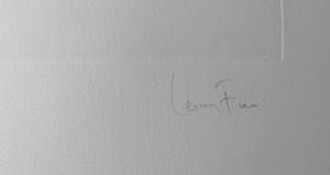 Leonor Fini - La Sorcière sur le Balai kopen? Bied vanaf 35!