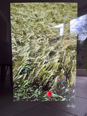 Paul Huf - Poppy (1988, gesigneerd) kopen? Bied vanaf 85!