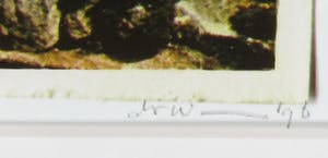 Gerard Druiven - Foto, Het zwemmen gaat door kopen? Bied vanaf 1!