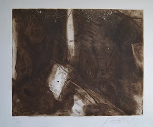 Ger Lataster - grote kleurenets uit 1981 - oplage 30 ex. kopen? Bied vanaf 95!