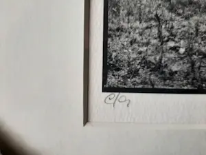 Ralph Janowski - 3 werken, van Ralph Janowski, Boom in de ochtend mist nieuw ingelijst kopen? Bied vanaf 100!