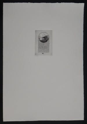 Dolf Zwerver - Zonder titel kopen? Bied vanaf 95!