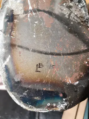 Lida Boonstra - geitenkop kopen? Bied vanaf 75!