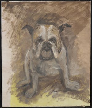 Martin Reisberg - Acryl op doek, Portret van een hond / bulldog kopen? Bied vanaf 1!