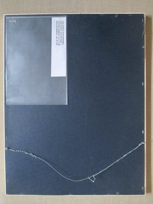 Jan Homan - Ingelijste zeefdruk kopen? Bied vanaf 40!