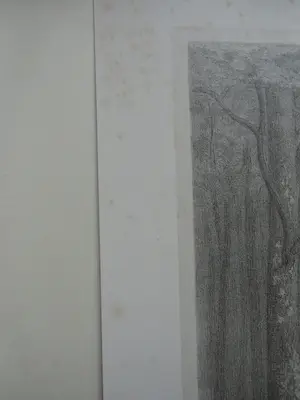 Simon Moulijn - BOSCHGEZICHT kopen? Bied vanaf 30!