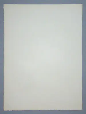 Walter Sauer - Jong meisje met vlechten - 1930 - Heliogravure - Gesigneerd en gedateerd kopen? Bied vanaf 100!