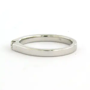14k wit gouden ring met briljant geslepen diamant tot. 0.03ct – F/G - VS/SI kopen? Bied vanaf 200!