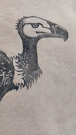 Willem van den Berg - Een gier kopen? Bied vanaf 35!