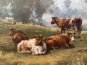 Eric Verwaerde - koeien in de weide kopen? Bied vanaf 150!