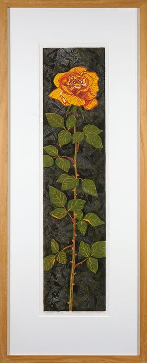 Dianne Bakker - Hout- en linosnede, Z.T. Roos - Ingelijst kopen? Bied vanaf 40!