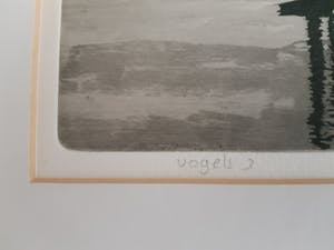 Guus Kuit - Vogels 3 kopen? Bied vanaf 20!