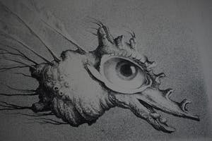 Hans van Dokkum - Het orgaanmonstertje met veren kopen? Bied vanaf 40!