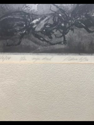 Ad van Dijk - Kevers kopen? Bied vanaf 15!