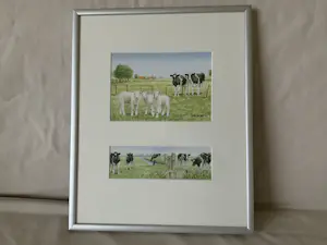 Wiebe A van der Zee - Heerlijke scharrelen en Are you chicken, Kraamvisite en Nieuwe Buren kopen? Bied vanaf 50!