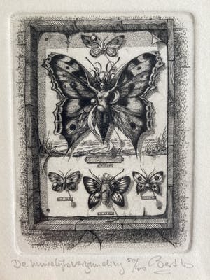 Bertil Schmull - De Huwelijks verzameling kopen? Bied vanaf 25!