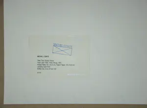 Michel Comte - Sharon Stone, 1997 - Beperkte oplage Lambda kleurenprint - 2007 kopen? Bied vanaf 400!