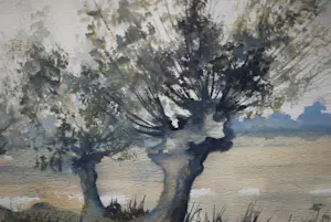 Sjoerdtje Mulder-Hak - Knotwilgen met verre einder - mooi ingelijste aquarel kopen? Bied vanaf 85!