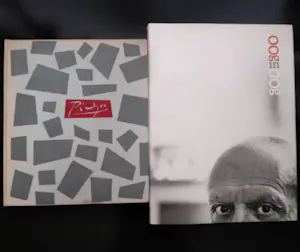 Pablo Picasso - Unbekante Gemalde und Zeichungen + OOG in OOG kopen? Bied vanaf 70!