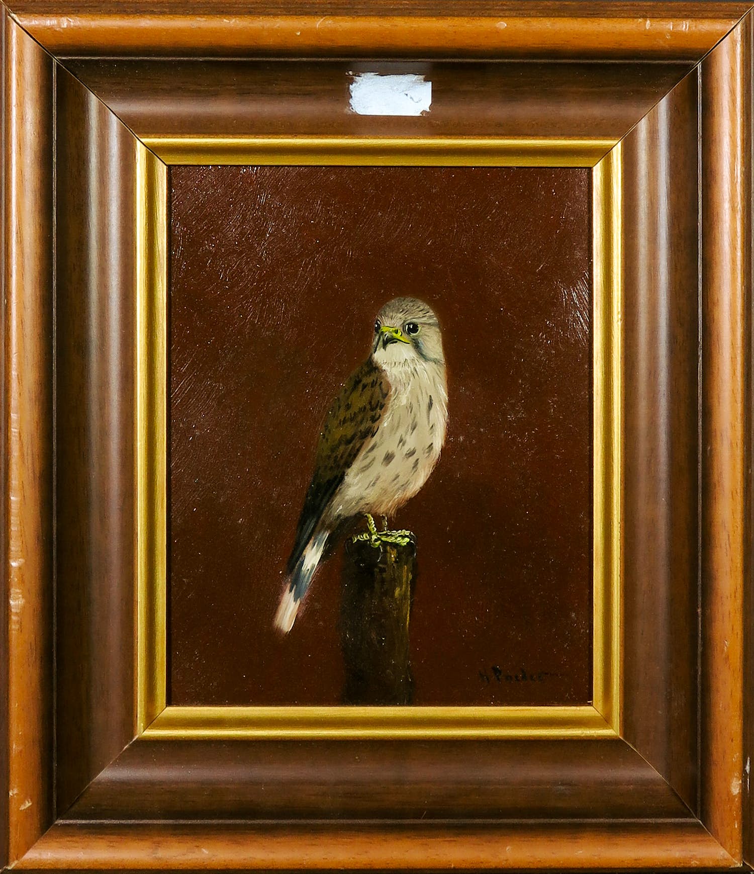 Henk Poeder - Olieverf op paneel, Torenvalk - Ingelijst verkocht voor € 1!