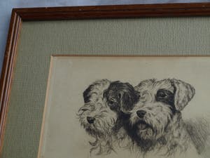 Niet of onleesbaar gesigneerd - Ingelijste ets , 2 Honden , 2 portretten - oud kopen? Bied vanaf 1!
