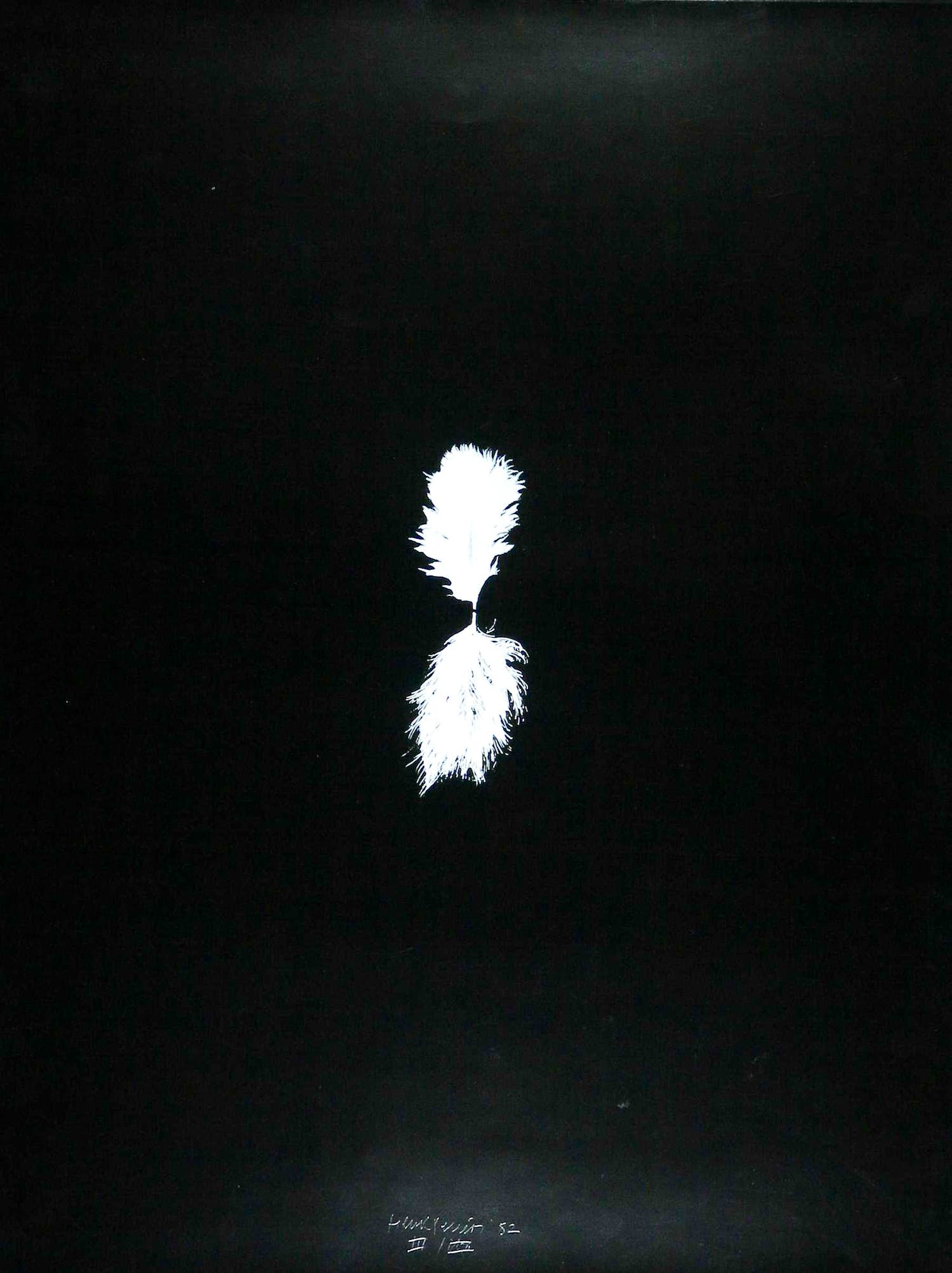 Henk Peeters - Zeefdruk, Het veertje verkocht voor € 250!