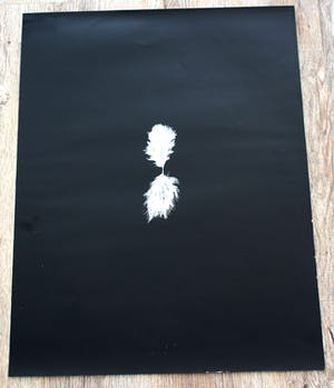 Henk Peeters - Zeefdruk: Het Veertje - 1982 kopen? Bied vanaf 250!