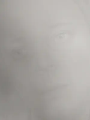 Kimmy ten Broek - Greyed Lavender kopen? Bied vanaf 125!